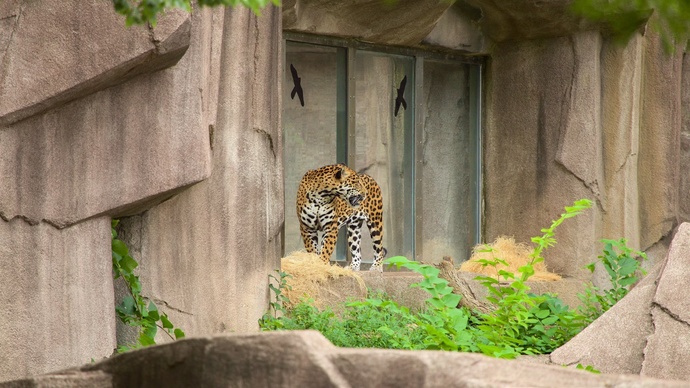When was the last time you were at a zoo?