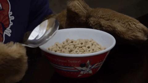 When was the last time you had cereal?