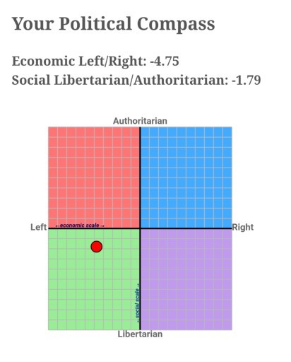 What is your political compass test alignment?