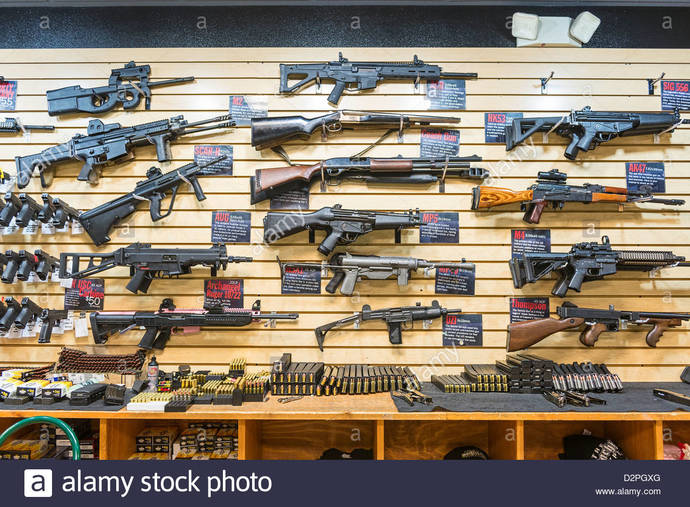 Would you mistake this for a AR 15?