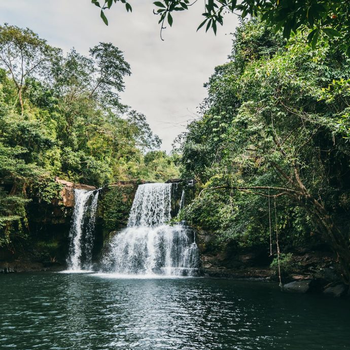 Which nature shot do like better ?