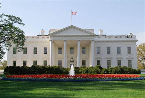 Has anyone noticed that if you fly the American flag everyone knows who you’re voting for?