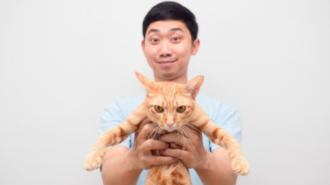 What does it mean if a man was excited to show me a video of his cat?