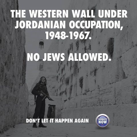 What do you think about the Israel-Palestine war?