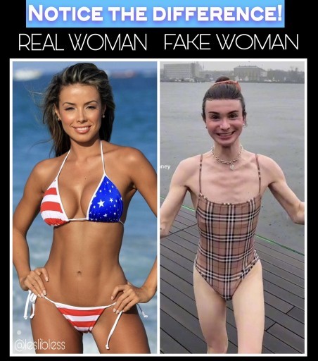 Agree or Disagree with this photo?