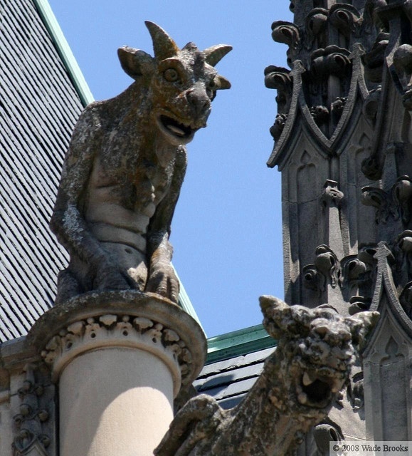 How would you react if you walked outside one day and saw stone gargoyles suddenly perched ontop of your roof?