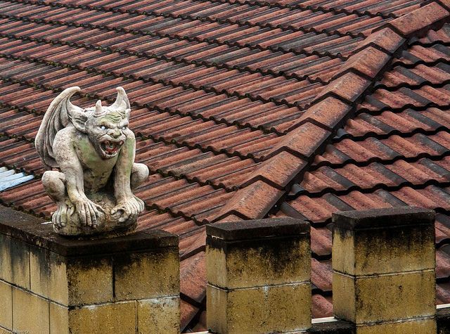 How would you react if you walked outside one day and saw stone gargoyles suddenly perched ontop of your roof?