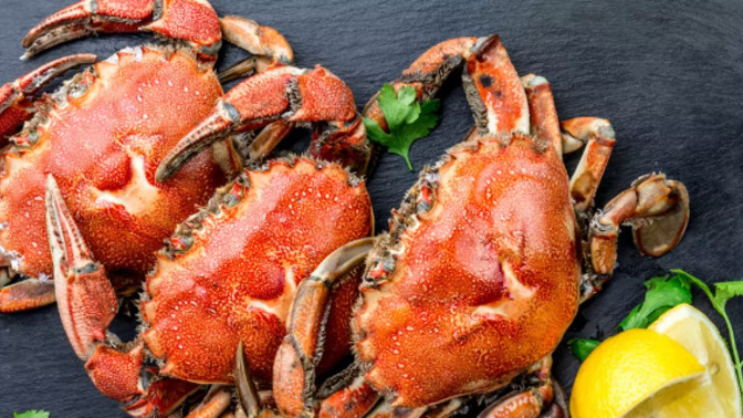Do you like to eat 🦀? How do you season them?