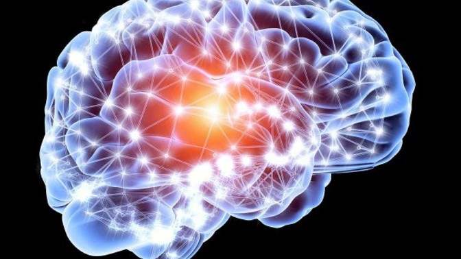If you knew you had dementia/alzheimers/etc. and it was worsening rapidly what would you do while you could still remember things?