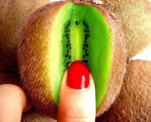 Isn’t this an amazing looking sea creature?