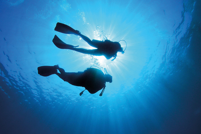Love Doctor Brad and James the Foodie: Why are they so obsessed with DIVING?