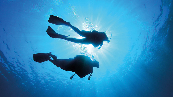 Love Doctor Brad and James the Foodie: Why are they so obsessed with DIVING?
