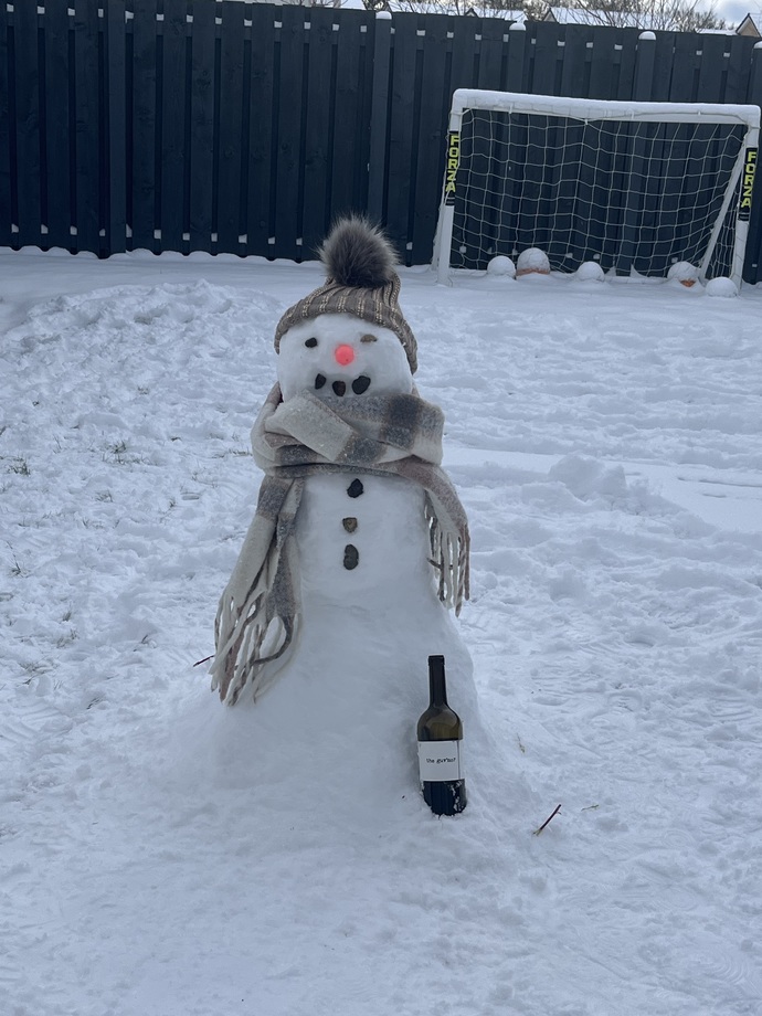 Do you want to build a snowman?