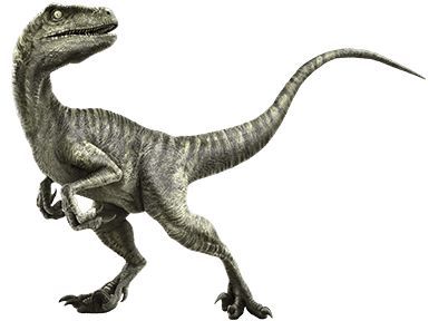 Would You Rather Be a Velociraptor (Jurassic Park) or a Dog and Why?