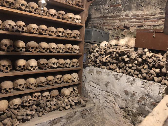 Would you visit a place like this?