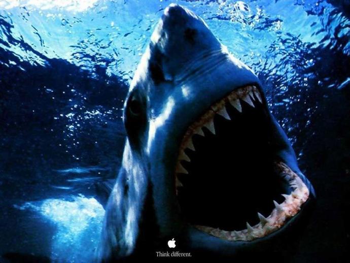 Would You Rather Become a Dragon or a Shark?