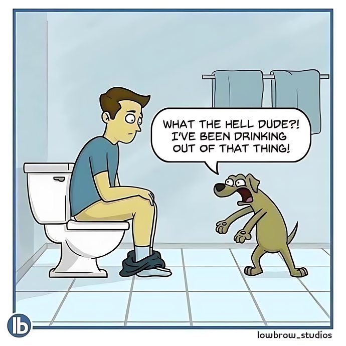 Does your dog/cat drink out of the toilet?