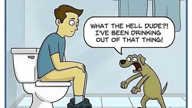 Does your dog/cat drink out of the toilet?