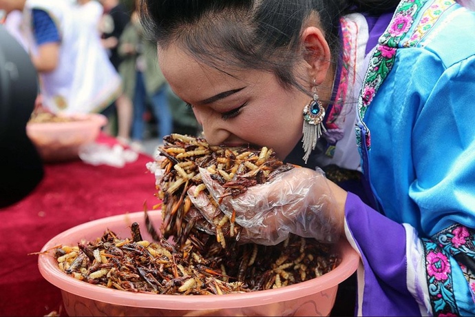 Would you eat bugs?