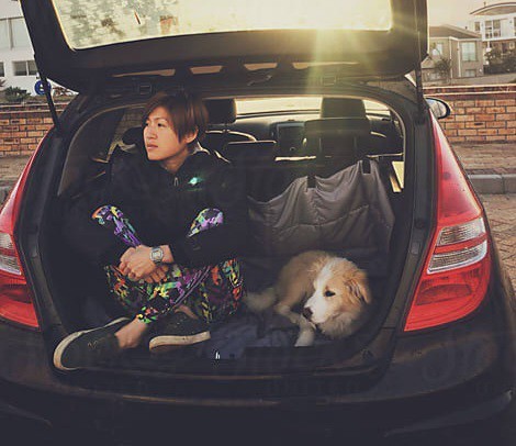 Does your partner or your dog like you more?