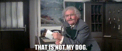 Does your partner or your dog like you more?