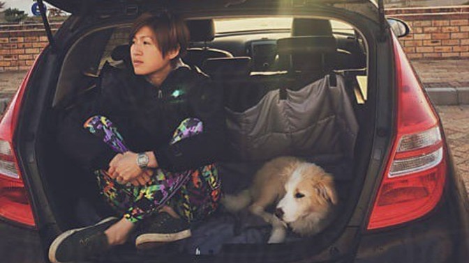 Does your partner or your dog like you more?