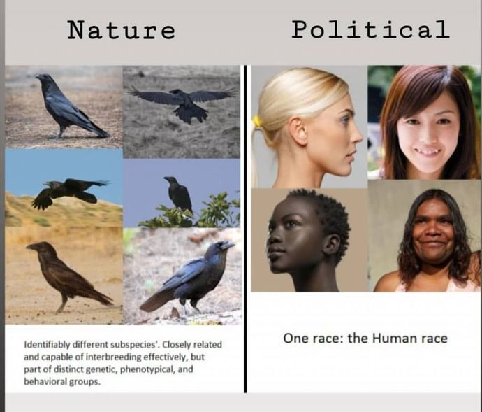 I prefer tiny boobs. Is that ok?