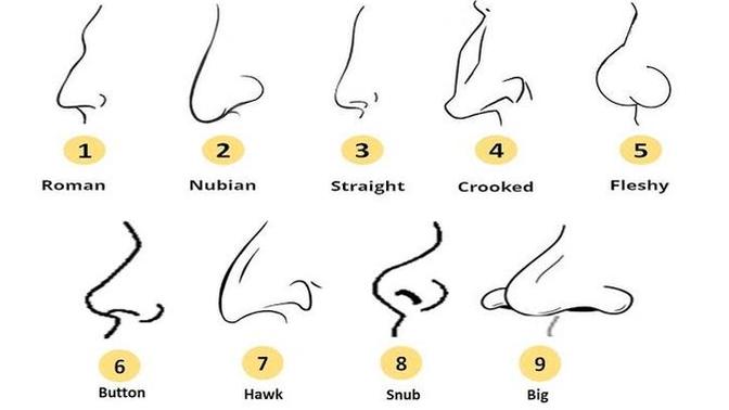Which nose type do you prefer on men/women?