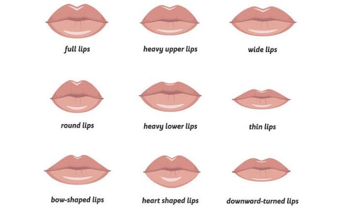 What lips type do you find most attractive?