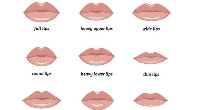 What lips type do you find most attractive?