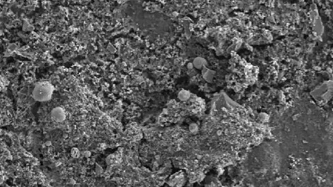 Are you concerned about MICROPLASTICS in PENIS?