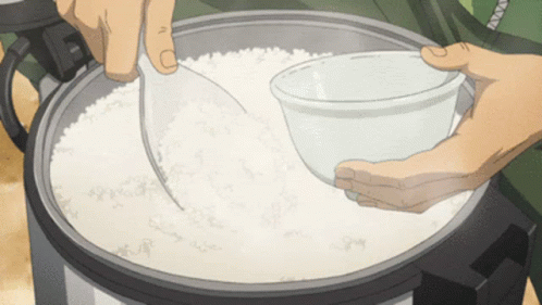 Is white rice a staple in your diet 🍚?