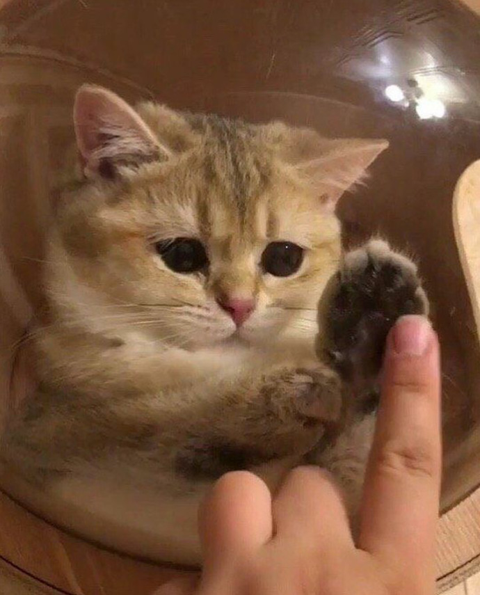 Do you think you have a good heart?
