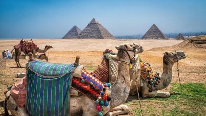 If you could travel to any point in history, when and where would you go?