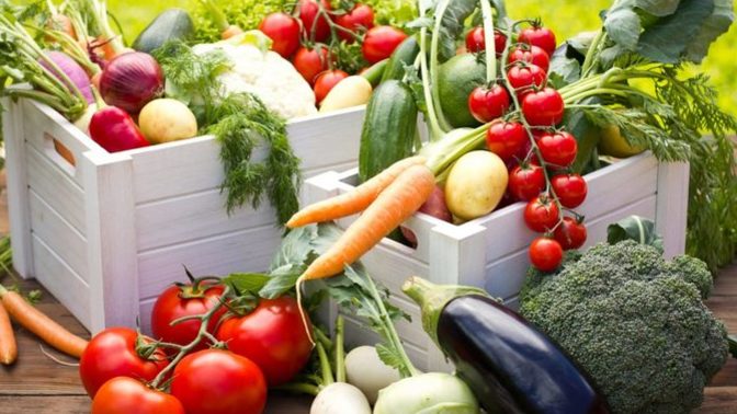 How do you make fruit / vegetables keep for longer, and which ones keep the longest?