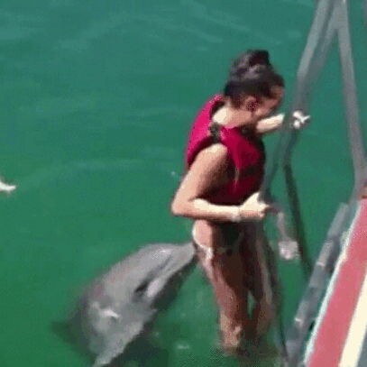 Can this dolphin smell fish?