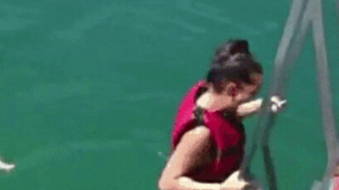Can this dolphin smell fish?
