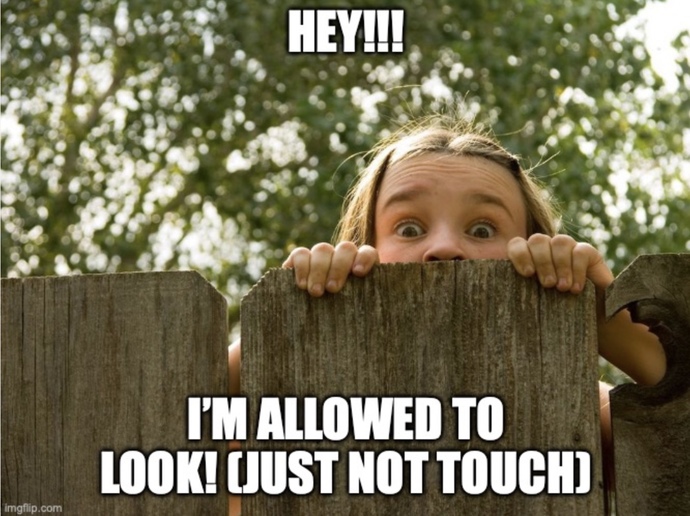 Woah! Those guys are really cute!