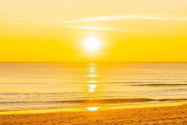 Your preference out of these choices of color (if you had to pick one of them)?