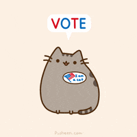 Are you going to vote for the next US president π?