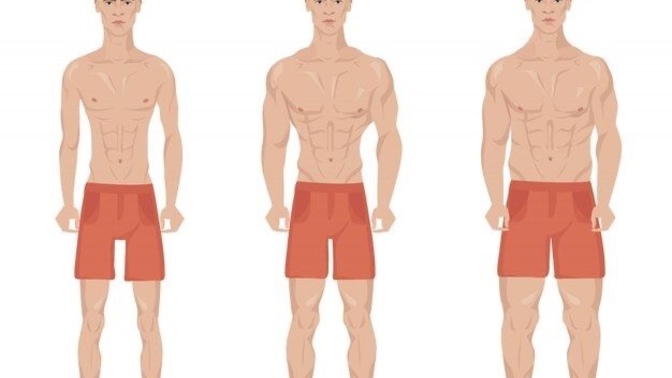 Ladies, what body type do you prefer for men , or find attractive?