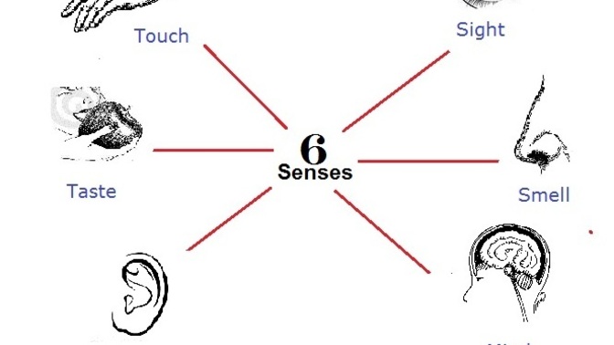 What sense disturbs you the most?