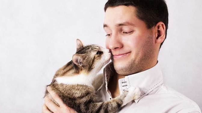 Are you a cat or a dog person?