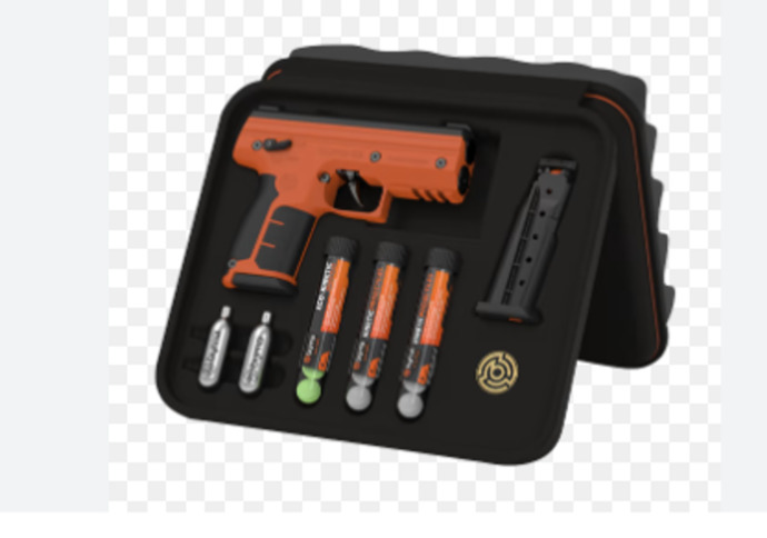 If someone breaks into your house, what is your realistic reaction?