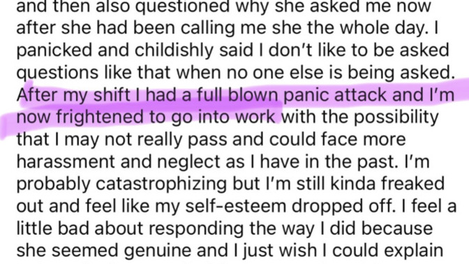 Woman asks a man in a dress what his pro/nouns are. He has a panic attack and is now scared to go back to work. ?