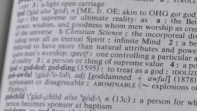 Why aren't people willing to admit that words have dictionary meanings?