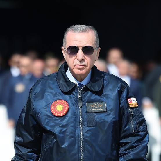 What do you think about the President of the Republic of Turkey, Recep Tayyip Erdoğan ?
