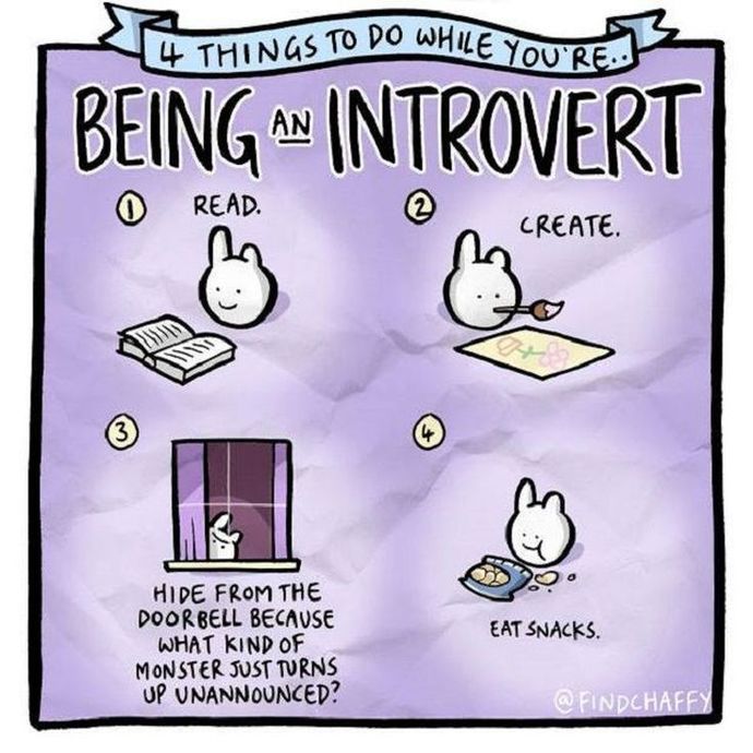 Are you a Lone Wolf or an Introvert?