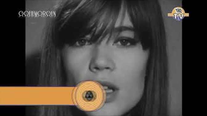 Have you ever heard of the singer Françoise Hardy?