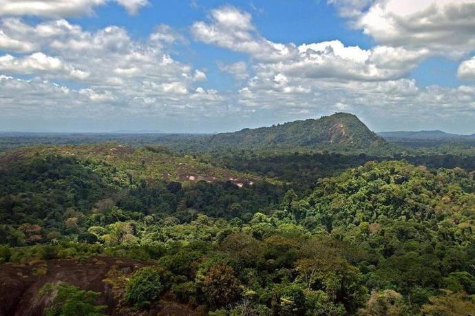 Would you believe me if I told you that part of the Amazon Rainforest is located in France?
